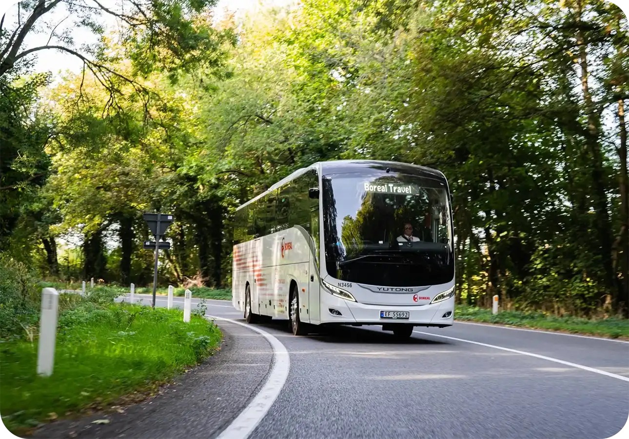 T15E